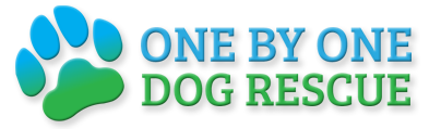 One By One Dog Rescue